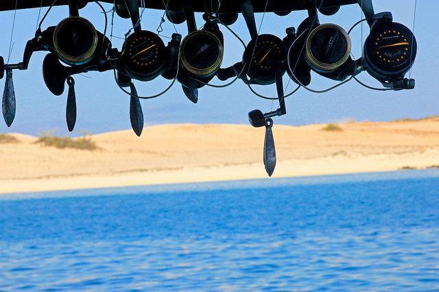 فندق Dampier Peninsulaفي  Kooljaman المظهر الخارجي الصورة