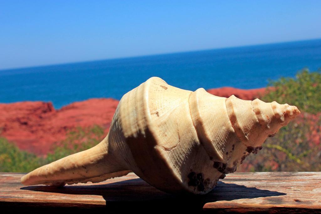 فندق Dampier Peninsulaفي  Kooljaman المظهر الخارجي الصورة