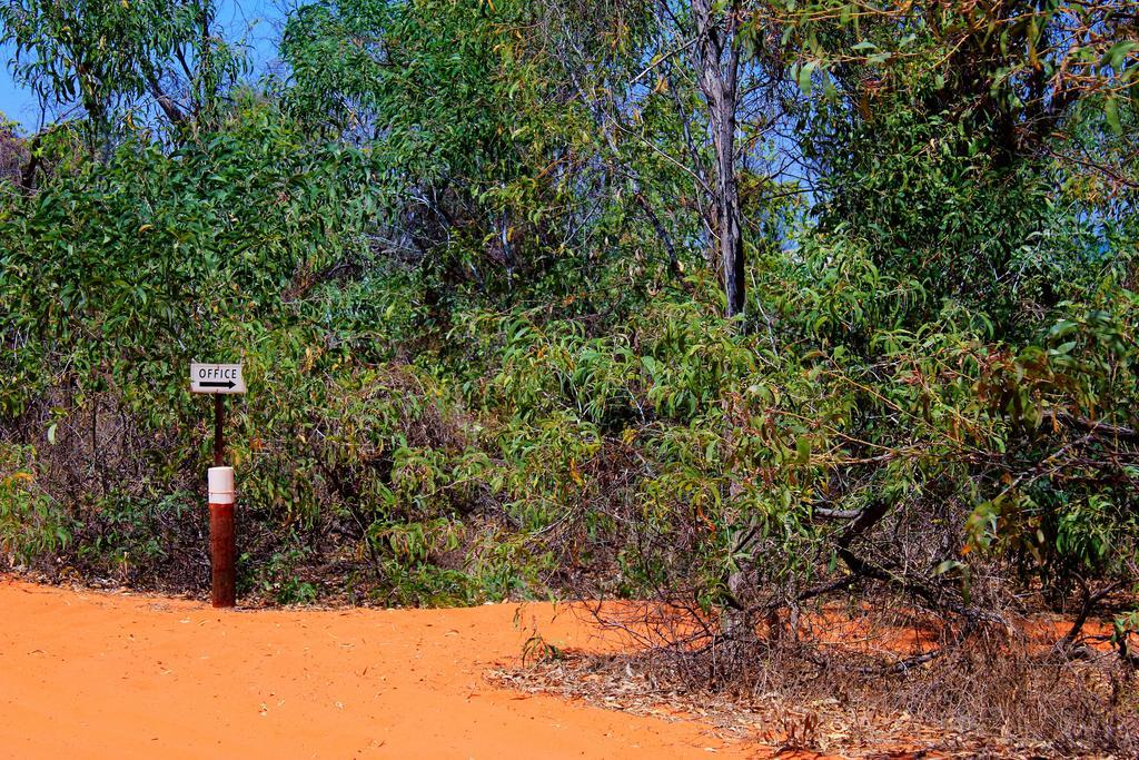 فندق Dampier Peninsulaفي  Kooljaman المظهر الخارجي الصورة